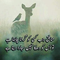 منافق جب کسی کو گرانا چاہتا ہے تو اس کو دھکّا نہیں سہارا دیتا ہے